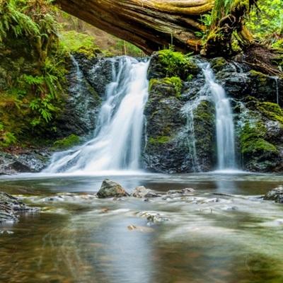 电子游戏bbin官方